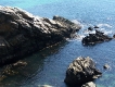 quiberon_cote_sauvage_3