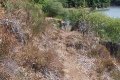 foret_mervent