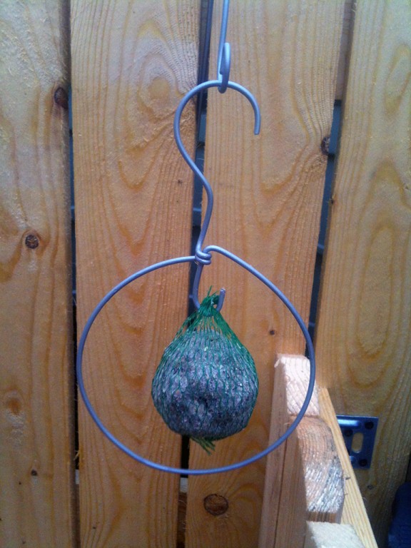 support-boule-graisse-oiseaux-design-3