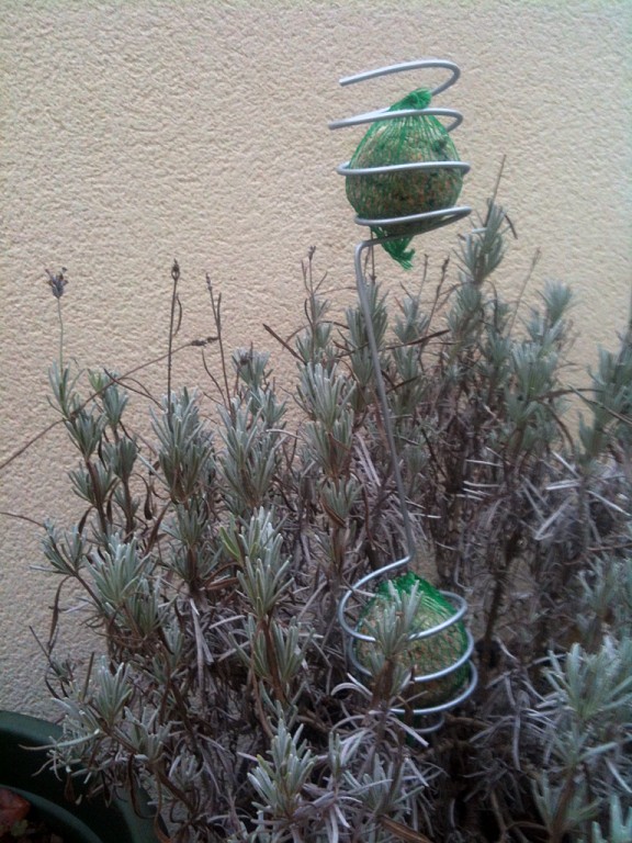 support-boule-graisse-oiseaux-design
