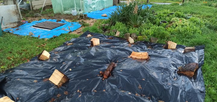 Preparer le sol au jardin