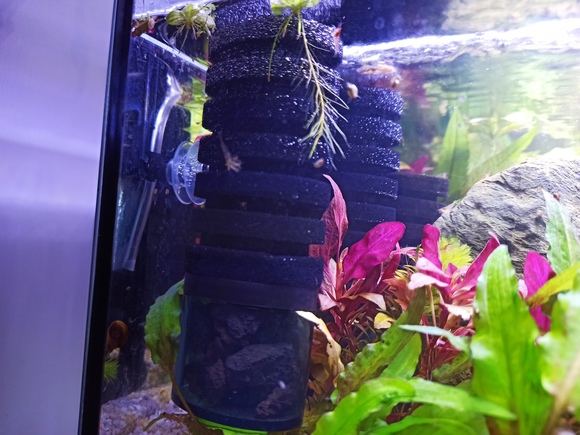 Filtre exhausteur pour aquarium