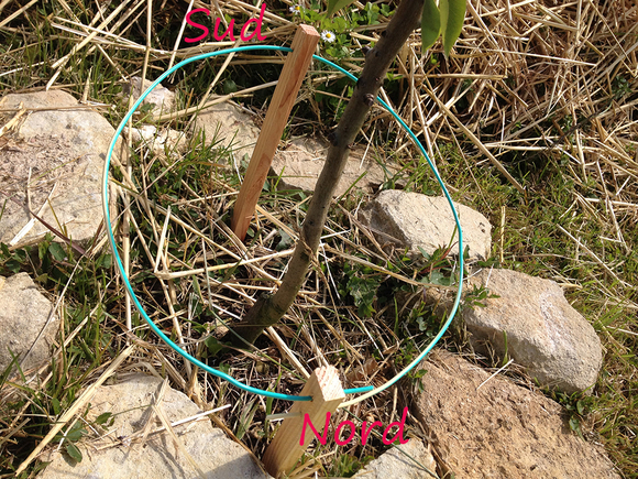 circuit oscillant lakhovsky sur arbre