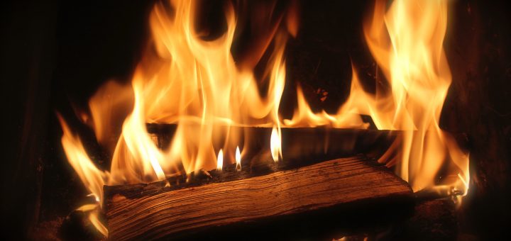 bois de chauffage humide