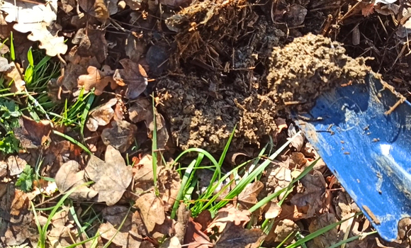 plantes bio indicatrices