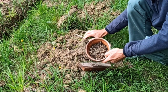 fabriquer un piege a fourmis