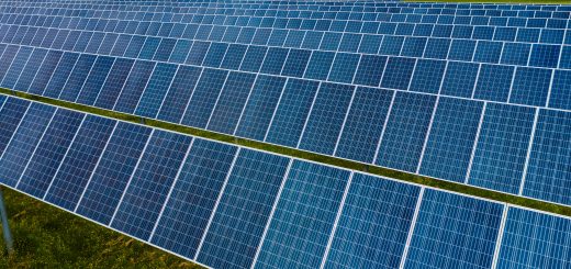 Panneau photovoltaïque à technologie PERC