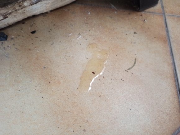 Tache de resine au sol